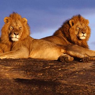 Tsavo National Park