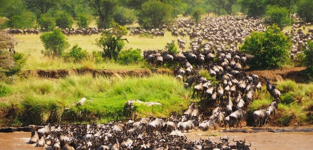 Maasai Mara National Reserve