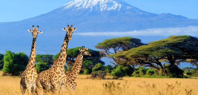 Mount Kilimanjaro