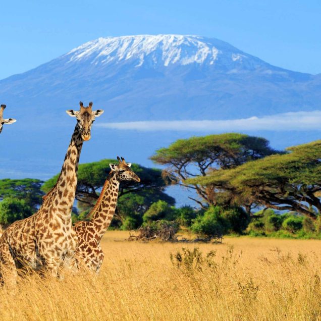 Mount Kilimanjaro